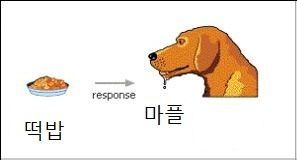 마플은 탈만 하니까 타는 거 아니야? | 인스티즈