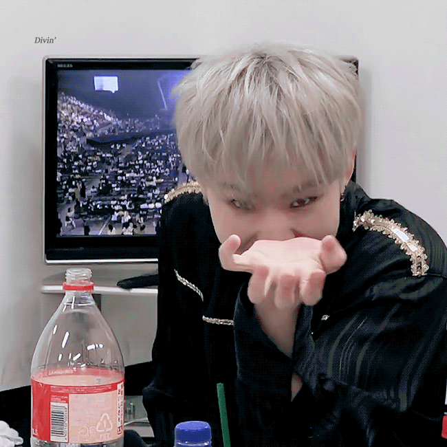 아니 이거 호시 진짜 이거라니까 똑띠야 | 인스티즈