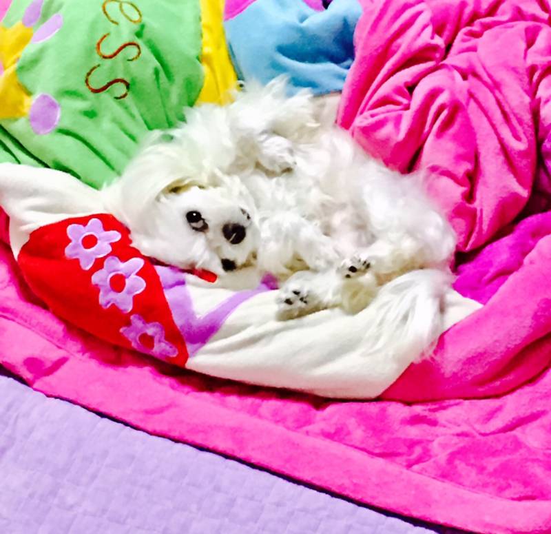 뽀뽀하면서 방구뀌네 | 인스티즈