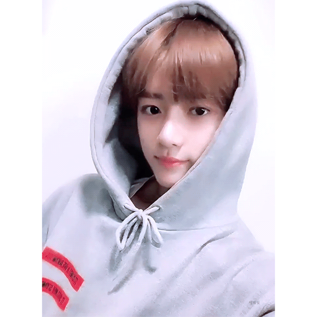 방탄 선배님의 시선을 인식한 신인 멤버 | 인스티즈