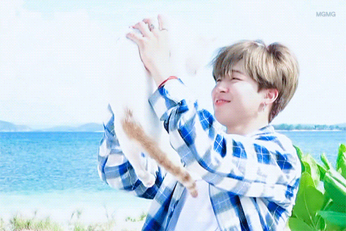 방탄강양이랑 노는 강양이들 | 인스티즈