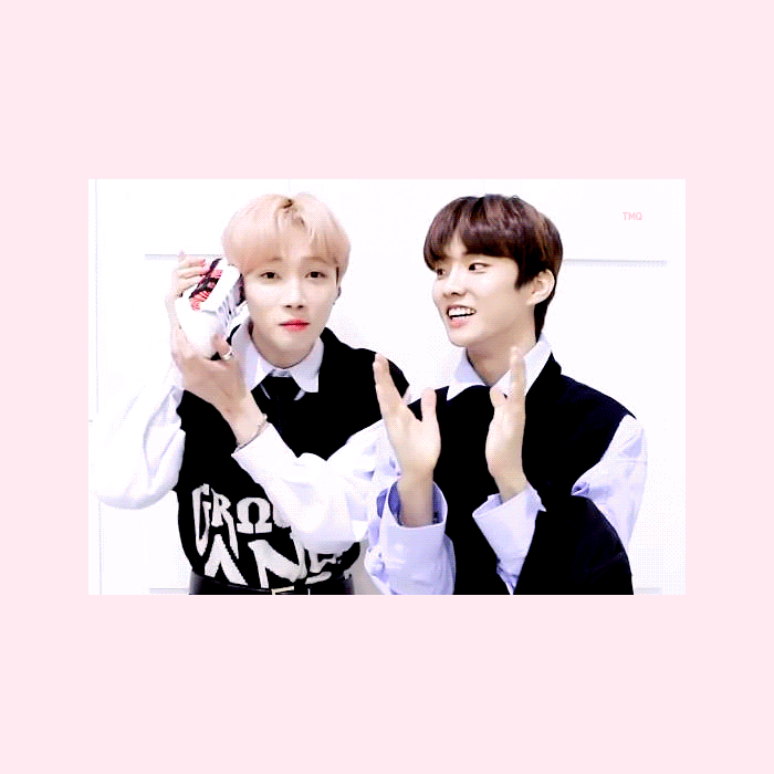 큐랑 뉴 정말 핑크핑크보자기로 싸서 들튀하고 싶다 | 인스티즈