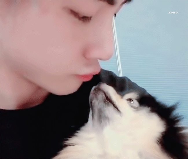 [마플] 아 애 생일인데 기분이 이게 뭐야 | 인스티즈