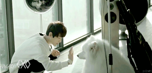 이때 다 백현 이름 뭐냐 물어 봤을듯 | 인스티즈