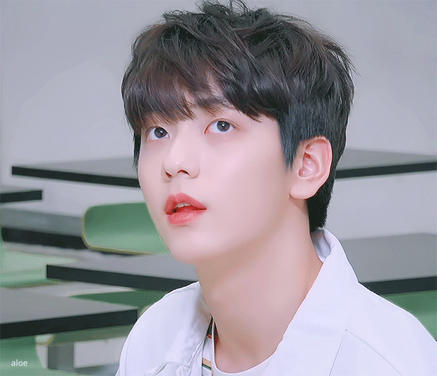 나 진짜 확신의 빅히트 상 처돌이인가봐 (대용량 주의) | 인스티즈