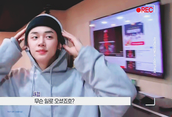 웅냥냥고양이 보고갈사람 | 인스티즈