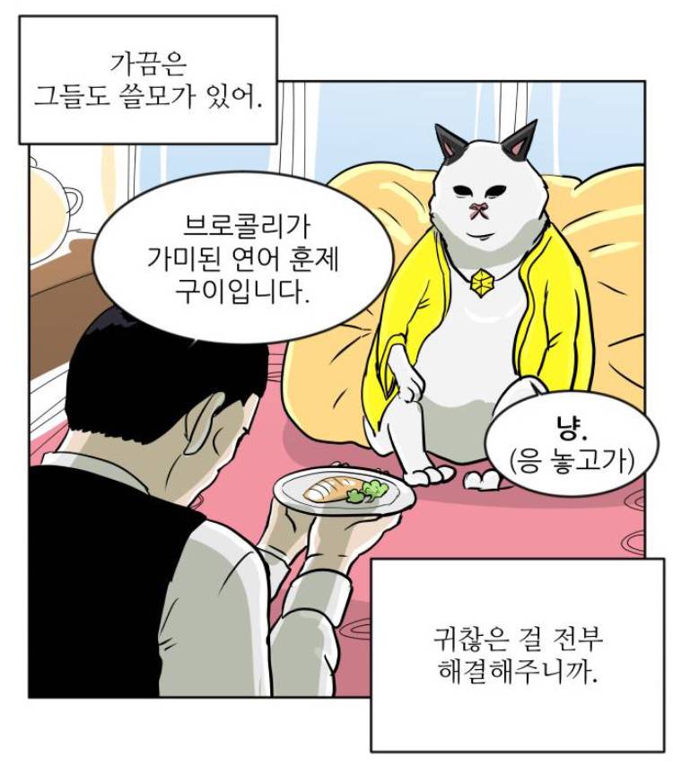 비정상회담) 장냥이랑 싱크쩌는 웹툰 있는데 볼 사람?ㅎㅎ | 인스티즈