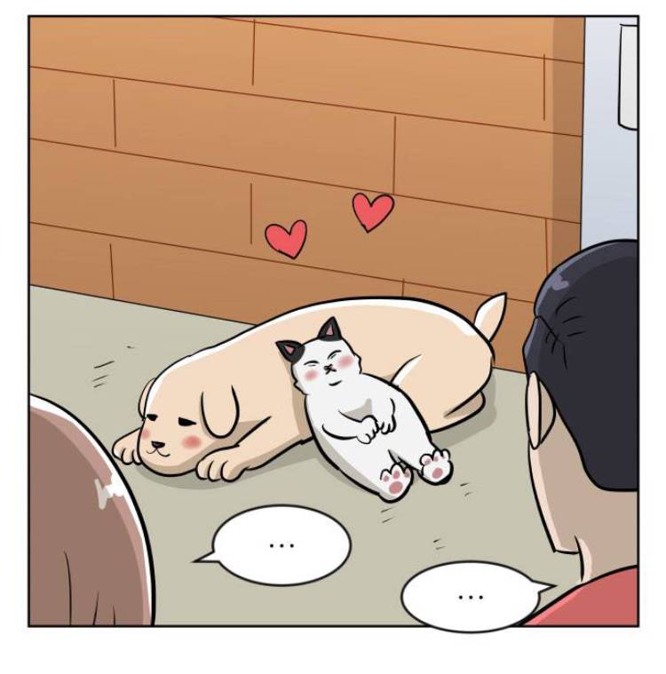 비정상회담) 장냥이랑 싱크쩌는 웹툰 있는데 볼 사람?ㅎㅎ | 인스티즈