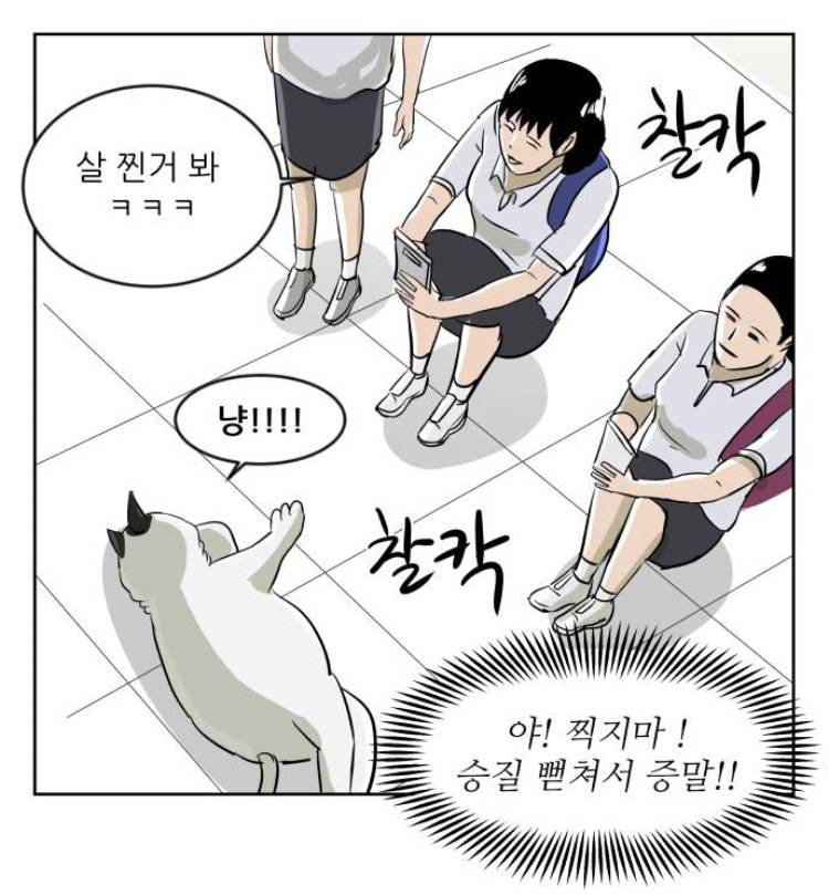 비정상회담) 장냥이랑 싱크쩌는 웹툰 있는데 볼 사람?ㅎㅎ | 인스티즈