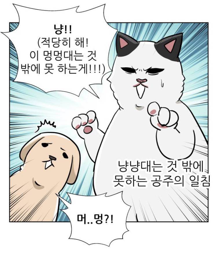 비정상회담) 장냥이랑 싱크쩌는 웹툰 있는데 볼 사람?ㅎㅎ | 인스티즈