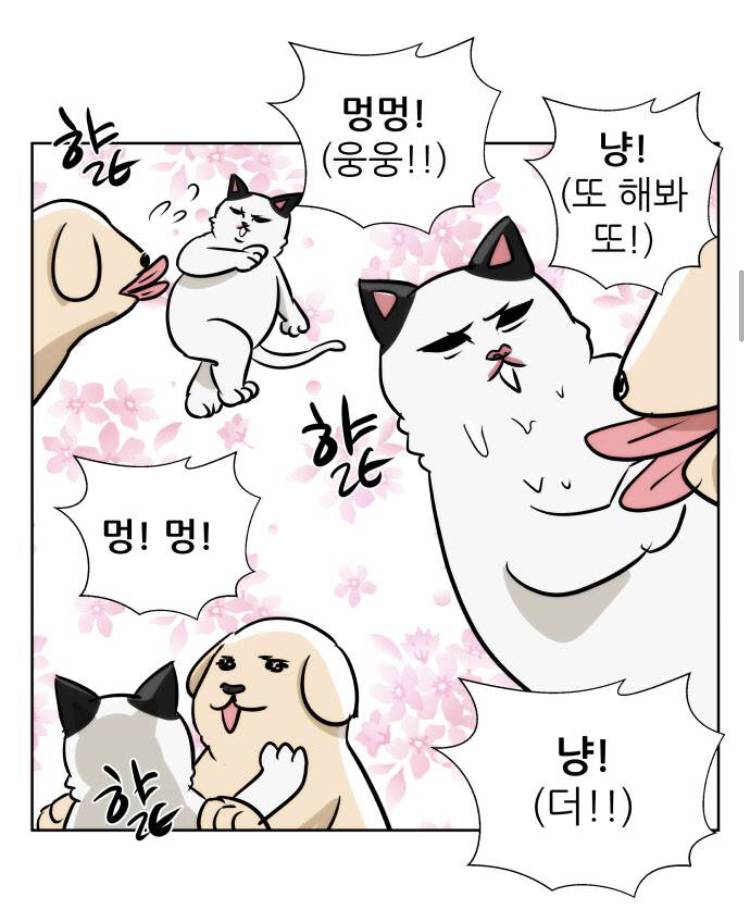 비정상회담) 장냥이랑 싱크쩌는 웹툰 있는데 볼 사람?ㅎㅎ | 인스티즈