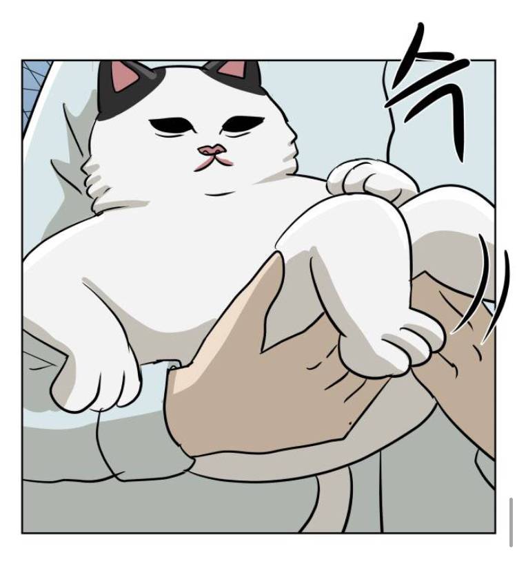 비정상회담) 장냥이랑 싱크쩌는 웹툰 있는데 볼 사람?ㅎㅎ | 인스티즈