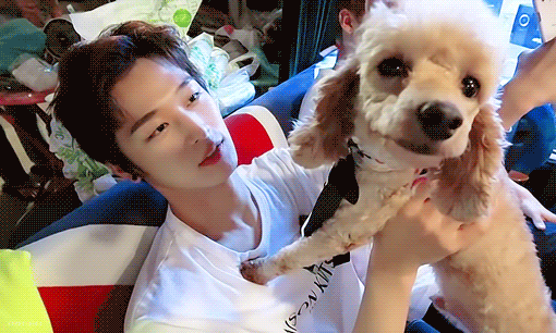 더보이즈+강아지=필승조합 | 인스티즈