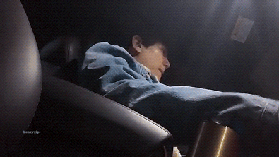 요즘은 강아지가 운전도 하나요..? 세상 좋아졌네요... | 인스티즈