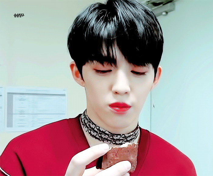 세븐틴 총괄리더 얼굴 | 인스티즈