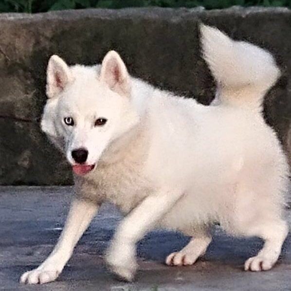 조유리는 감쟈를 닮았다 | 인스티즈