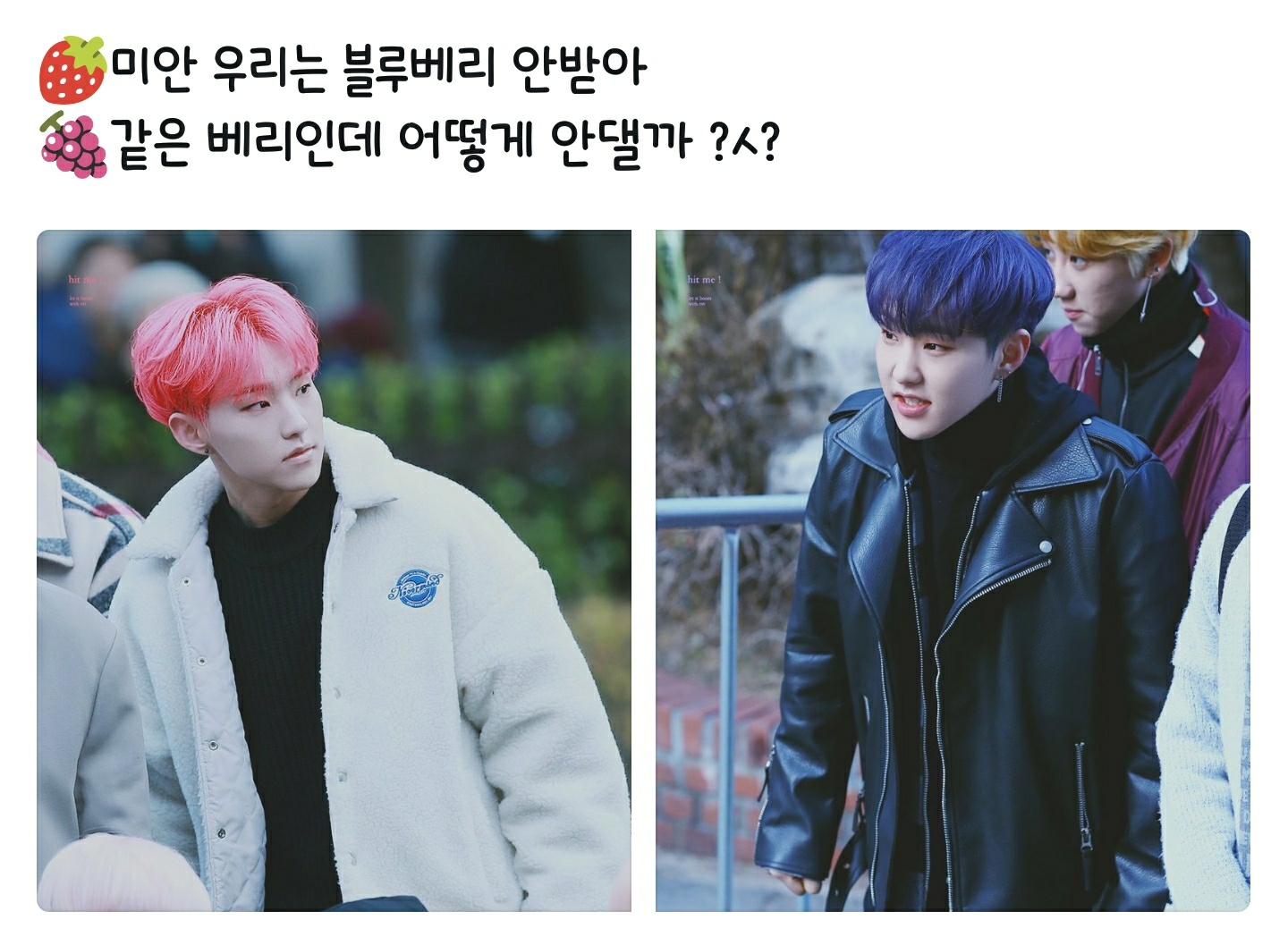 호시는 정말 진심이구나 | 인스티즈