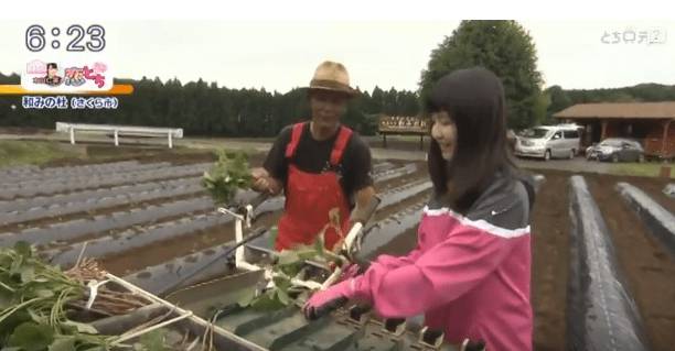 일본에서 별 거 다 하던 여고생 근황 | 인스티즈