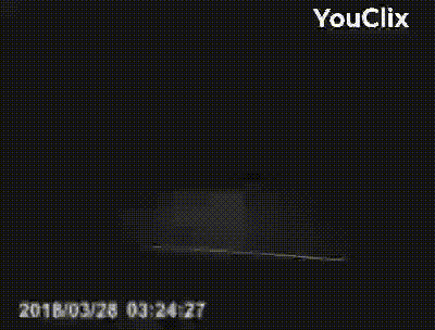 한밤중 시골길 블박(약간공포) | 인스티즈