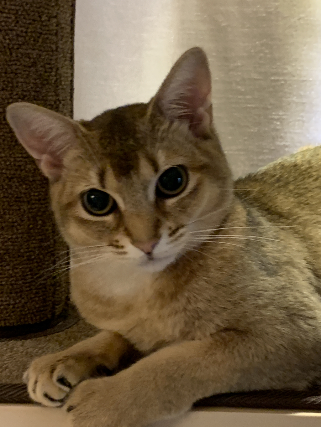 #강오리_생일축하해 #Happy_Ori_Day | 인스티즈