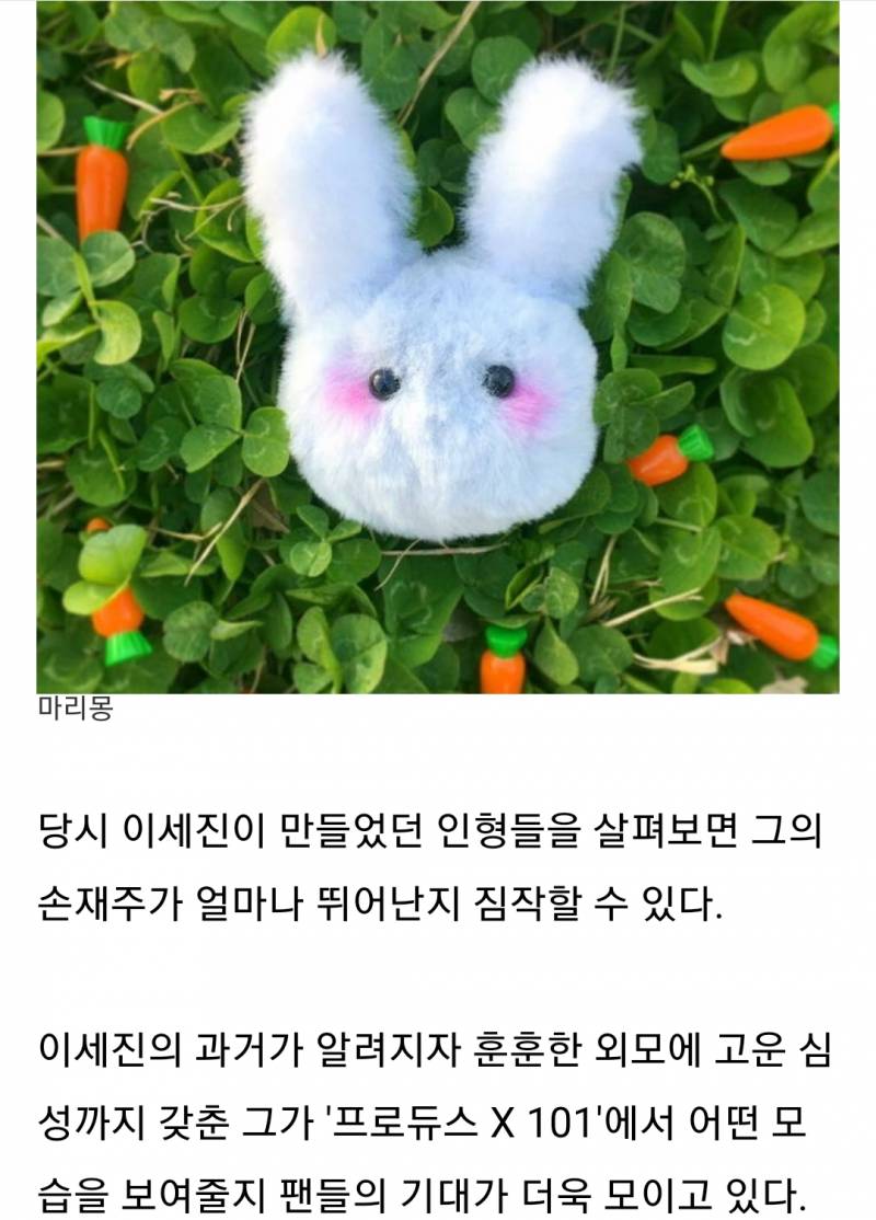 과거 손수 만든 인형 판매해 '유기동물' 후원했던 '프듀X' 연습생 이세진 | 인스티즈