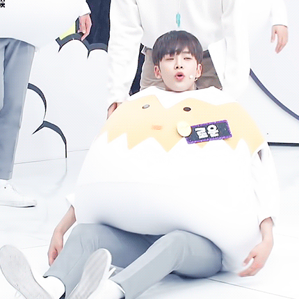 [잡담] 나 병아리 입양 했어 ㅠㅠ 너무 떨려 | 인스티즈