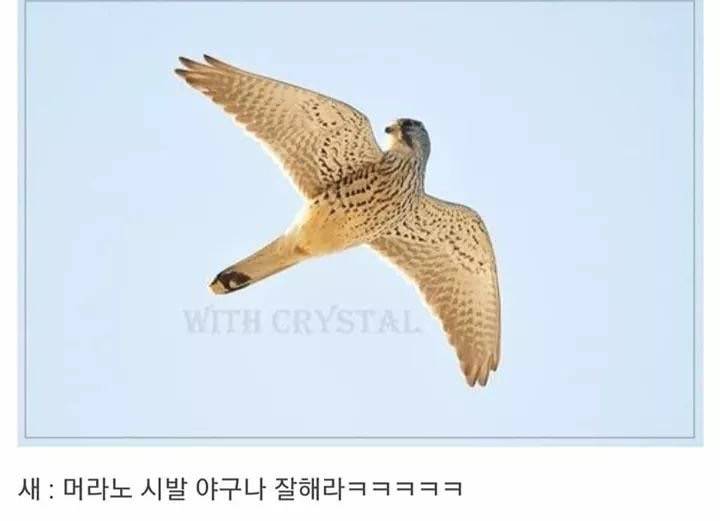 이거 올려두 되남 ㅋㅋㅋㅋㅋㅋㅋ 넘 웃겨 | 인스티즈