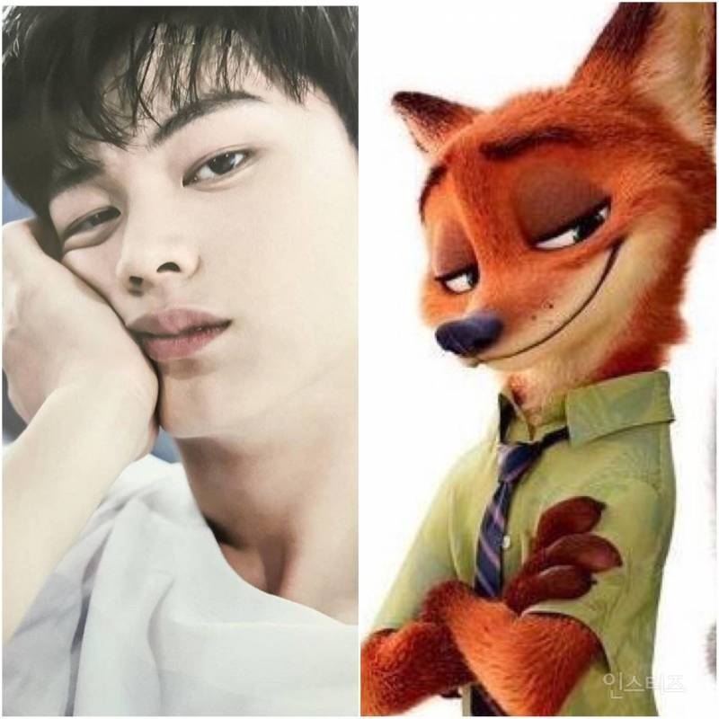 주토피아 닉 와일드 닮은 남자 아이돌 | 인스티즈