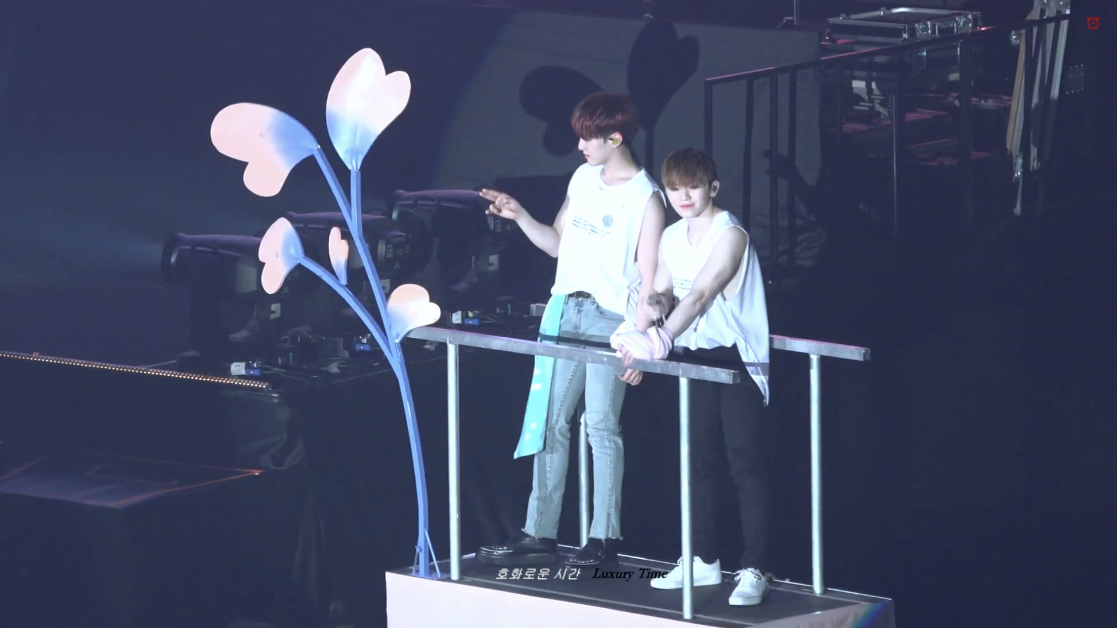 와 호시랑 우지 키 비슷하게 보는 사람들 많구나ㅋㅋㅋㅋㅋㅋ 이거 보면 기절하겠네ㅋㅋㅋㅋㅋ | 인스티즈