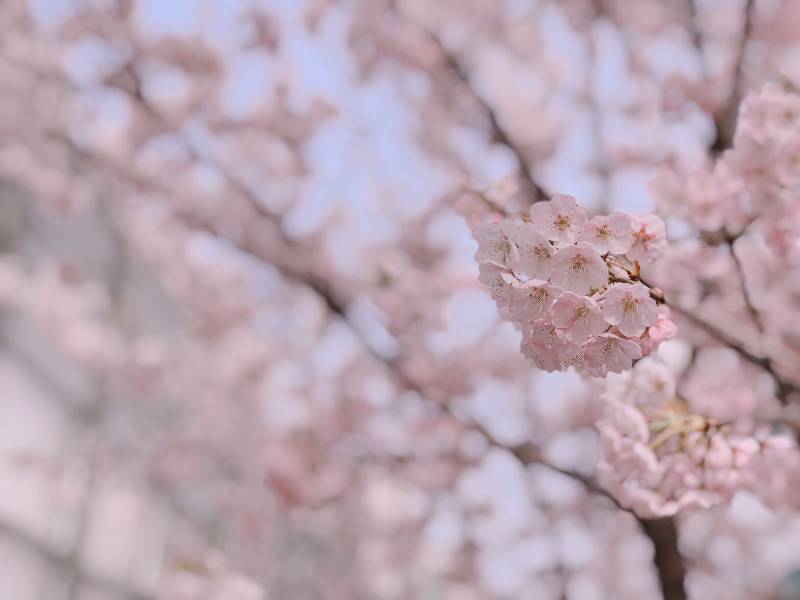 이 틈에 아이폰 인물사진 자랑 ,,,, | 인스티즈