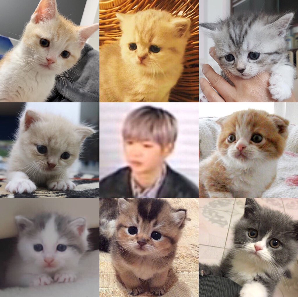 그럴 시간에 강다니엘이 먐미란 거나 알고 가 | 인스티즈