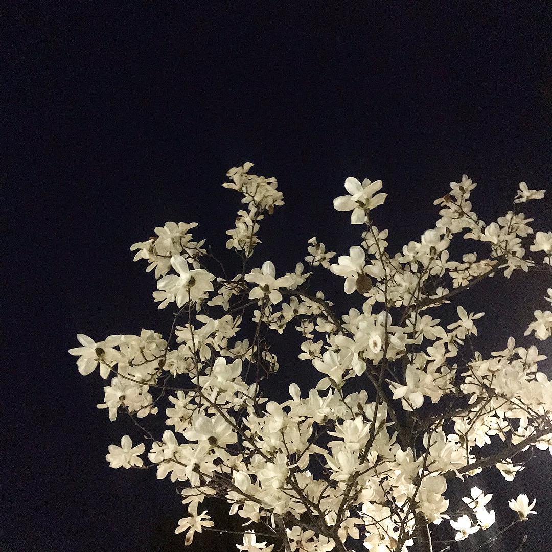 [잡담] 데이식스 원필이 찍은 풍경들 | 인스티즈