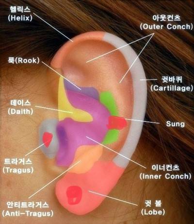 피어싱 위치 좀 봐줄수 있어? ㅠㅠ! | 인스티즈