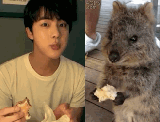 방탄 김석진 먹는데 진심인 편 | 인스티즈