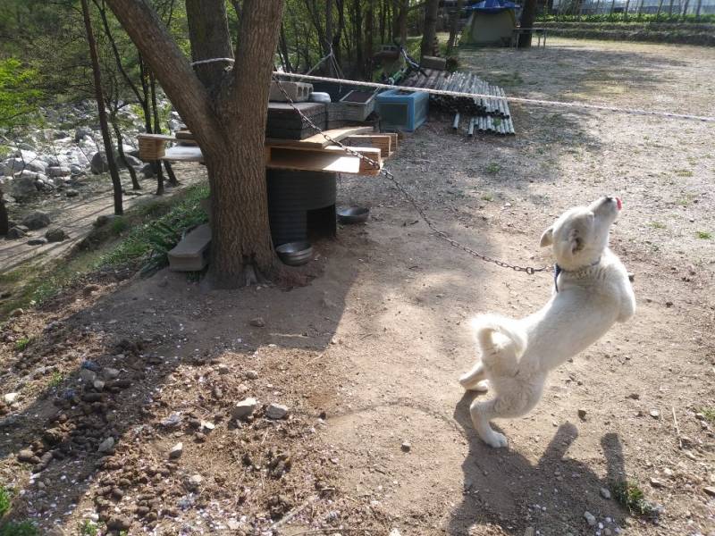 엄마가 찍어주는 사진 너무 웃겨ㅋㅋㅋㅋ | 인스티즈