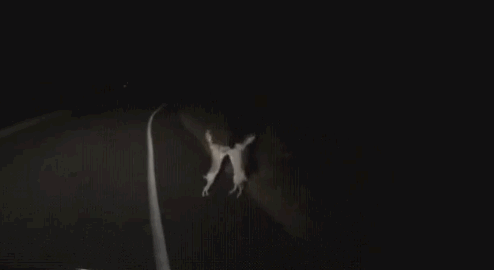 나 방탄 진이랑 정국 싸우는 거 봤어ㅋㅋㅋ... | 인스티즈