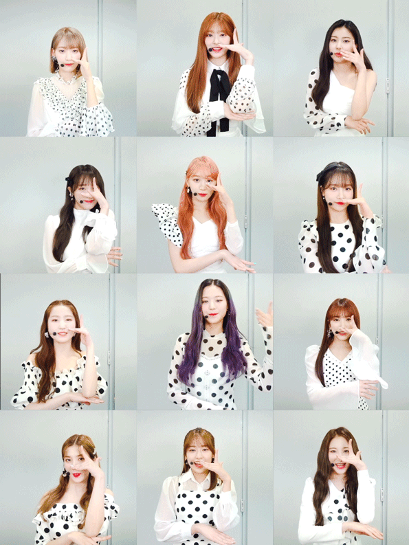 조금씩 다 다른 아이즈원 멤버 전원 비까리.gif | 인스티즈