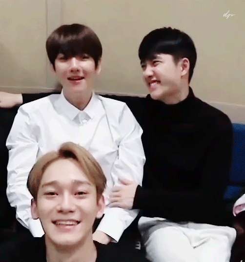 도경수 깜냥인이유? 집사의 터치는 피하는데 자기들 내킬땐 막 치대는점이 빼박 | 인스티즈