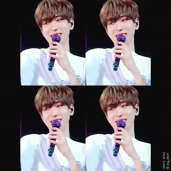 [잡담] 우리집 고양이(or 여우)가 인기가 많네... 잘생겼지 암요 | 인스티즈