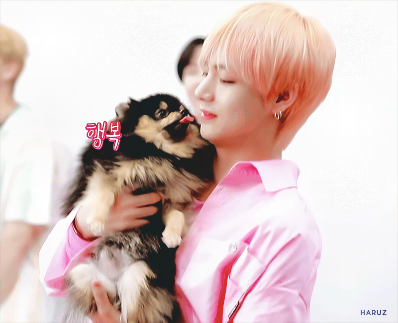 💜우리 연탄이 사랑해~💜짤털글 | 인스티즈