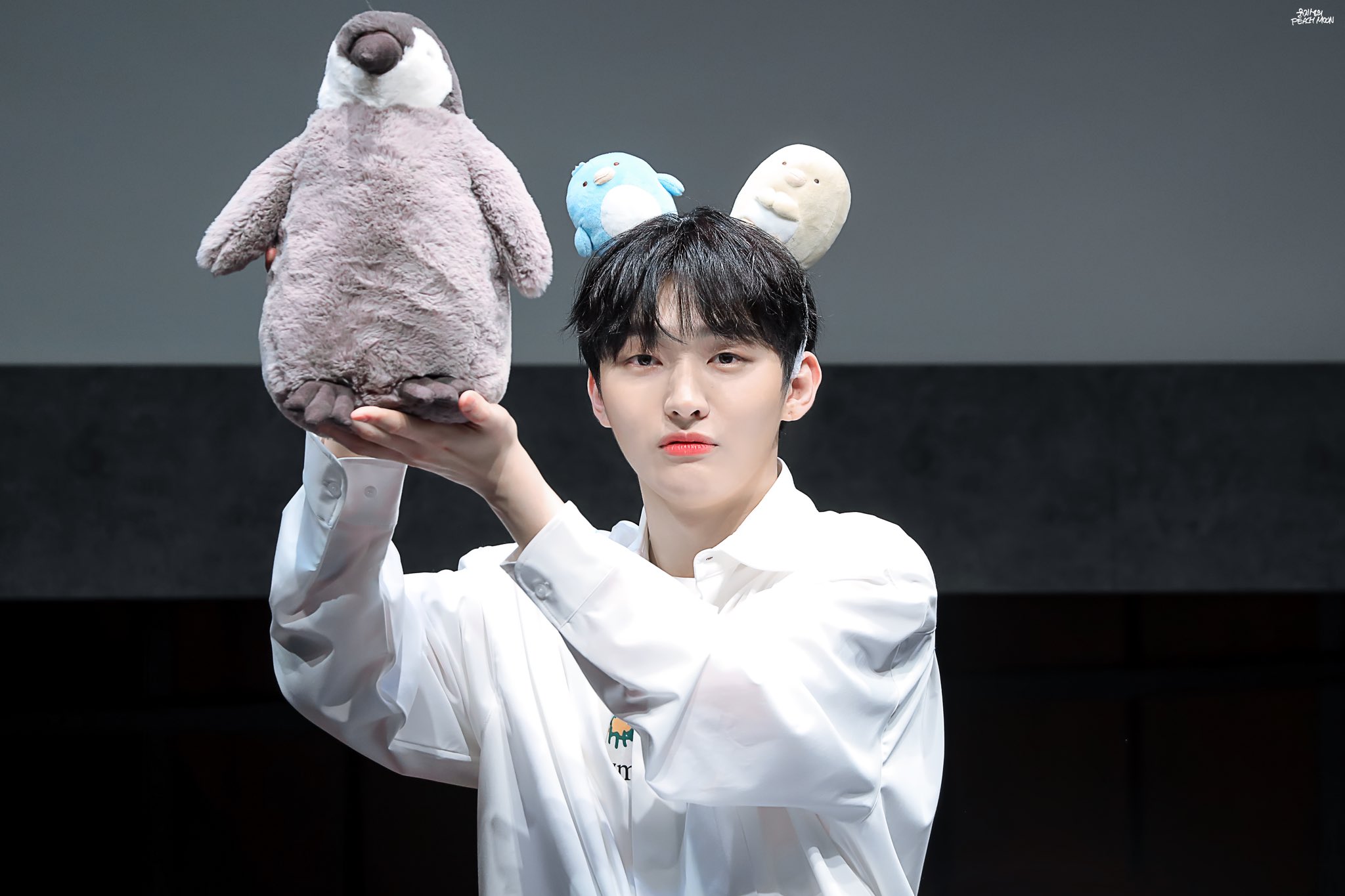 내 프듀 원픽들도 꽤 소나무라고 생각함 (아님 말구) | 인스티즈