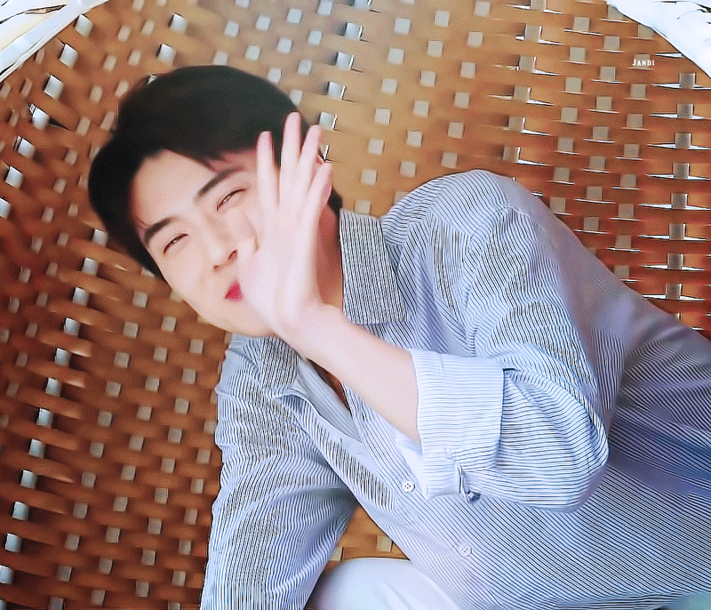 아직도 타팬들이나 머글은 세훈이 쟈갑게 느껴지게찌..? | 인스티즈