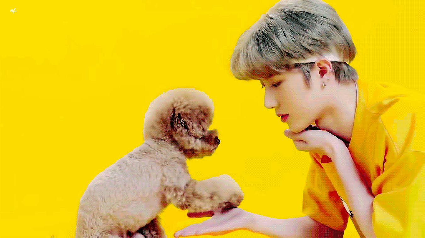 푸들이 투바투 범규 손에 손 쓔웅하는 거 | 인스티즈