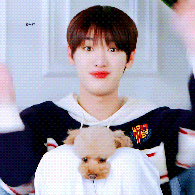 다음 생에는 고양이로 태어나야지 | 인스티즈