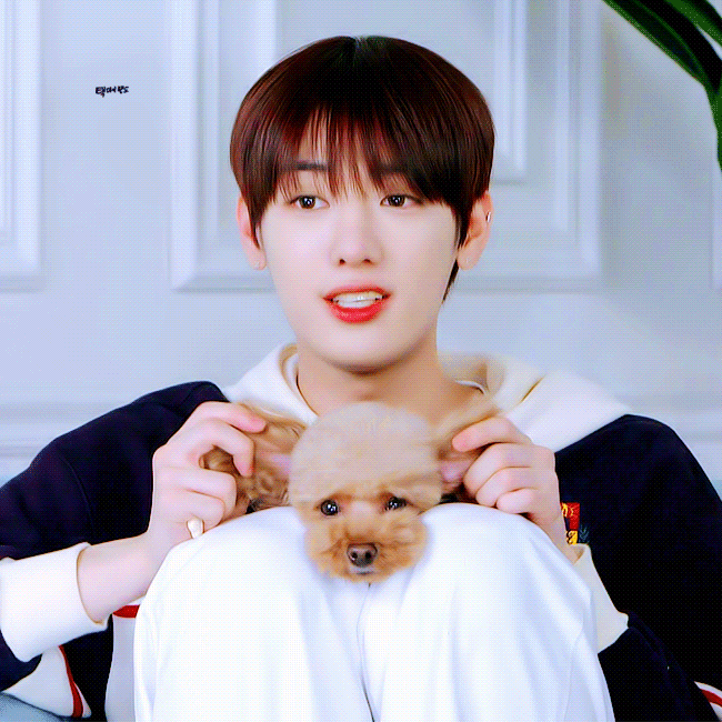 🌟🌟🌟🌟골차 손영택 비주얼도 알라조라!!!!🌟🌟🌟🌟 | 인스티즈