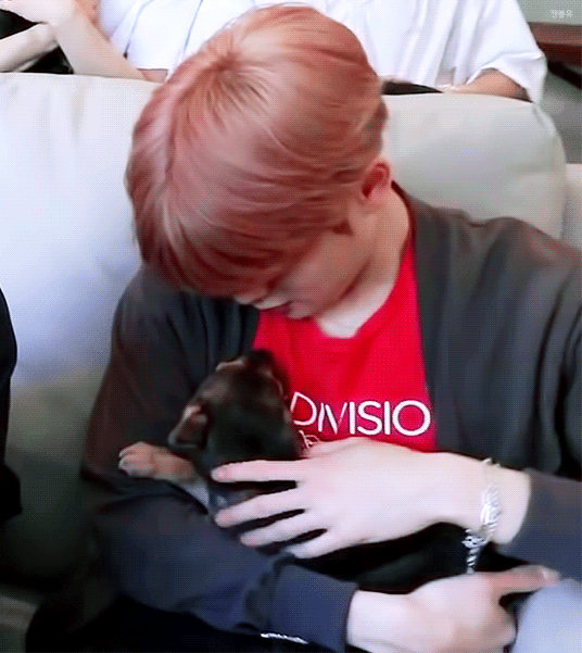 ​처음 본 강아지가 자기 허벅지에 오줌 싼 것에 대한 아이돌의 대처 | 인스티즈