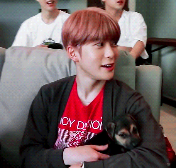 ​처음 본 강아지가 자기 허벅지에 오줌 싼 것에 대한 아이돌의 대처 | 인스티즈