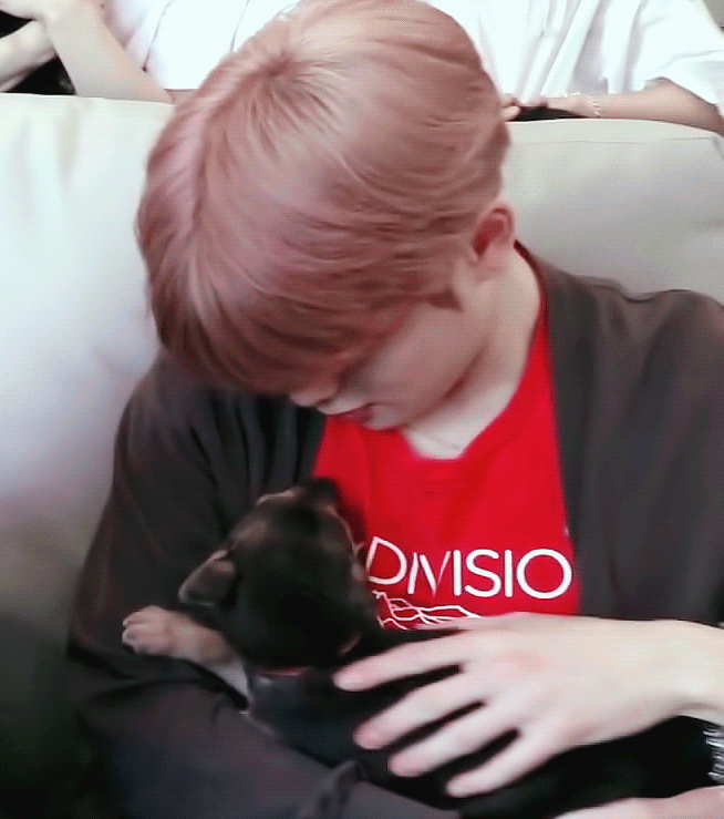 ​처음 본 강아지가 자기 허벅지에 오줌 싼 것에 대한 아이돌의 대처 | 인스티즈