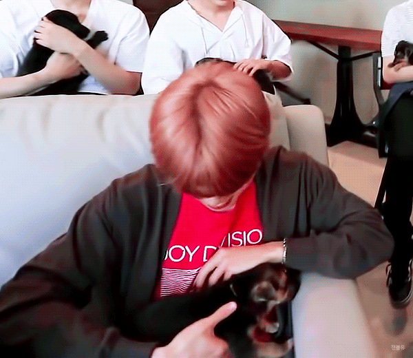 ​처음 본 강아지가 자기 허벅지에 오줌 싼 것에 대한 아이돌의 대처 | 인스티즈