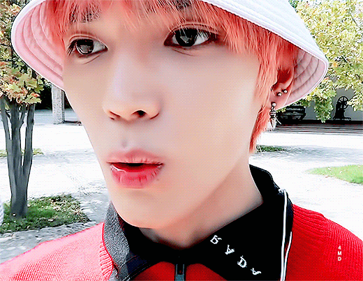 태용이 웃기고 귀엽고 작고 뽀짝한 짤 푼다(스압주의) | 인스티즈